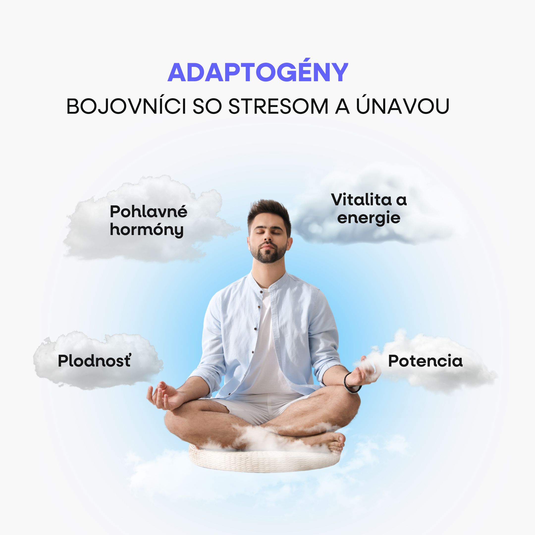 (Slovenčina) (80)
